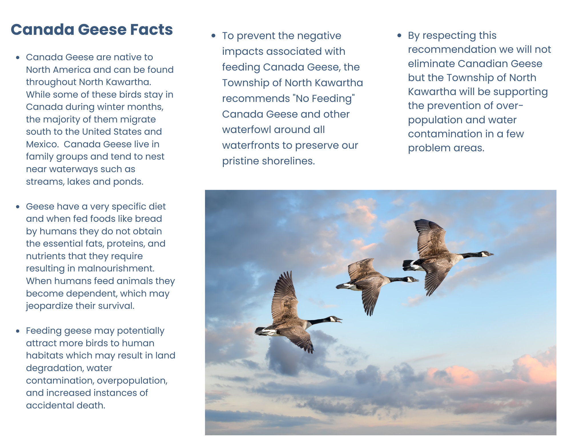 page 2 of Brochure Keeping Wildlife Wild