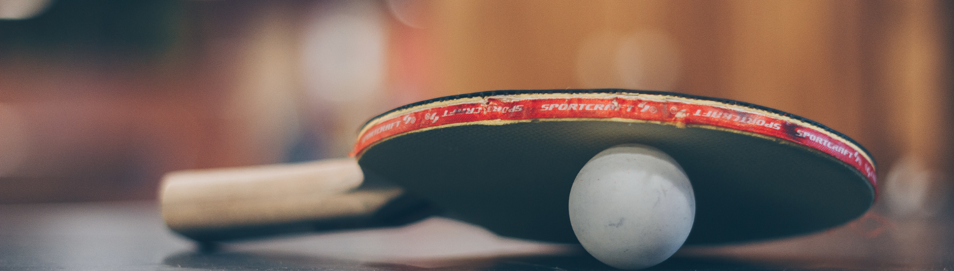 imag of ping pong paddle